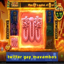 twitter gay mavambos